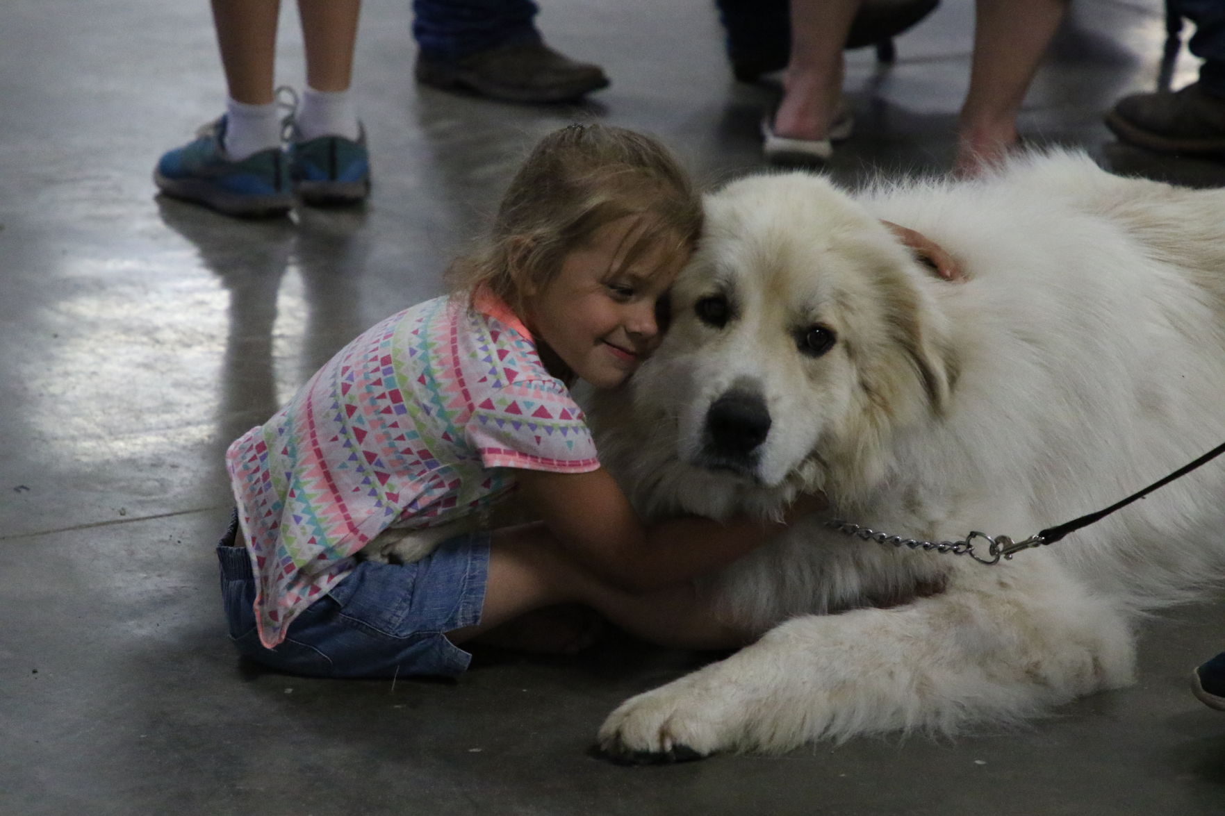 Dog Show (1).JPG